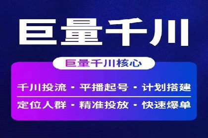 案例对比：不同竞价推广策略的优劣分析